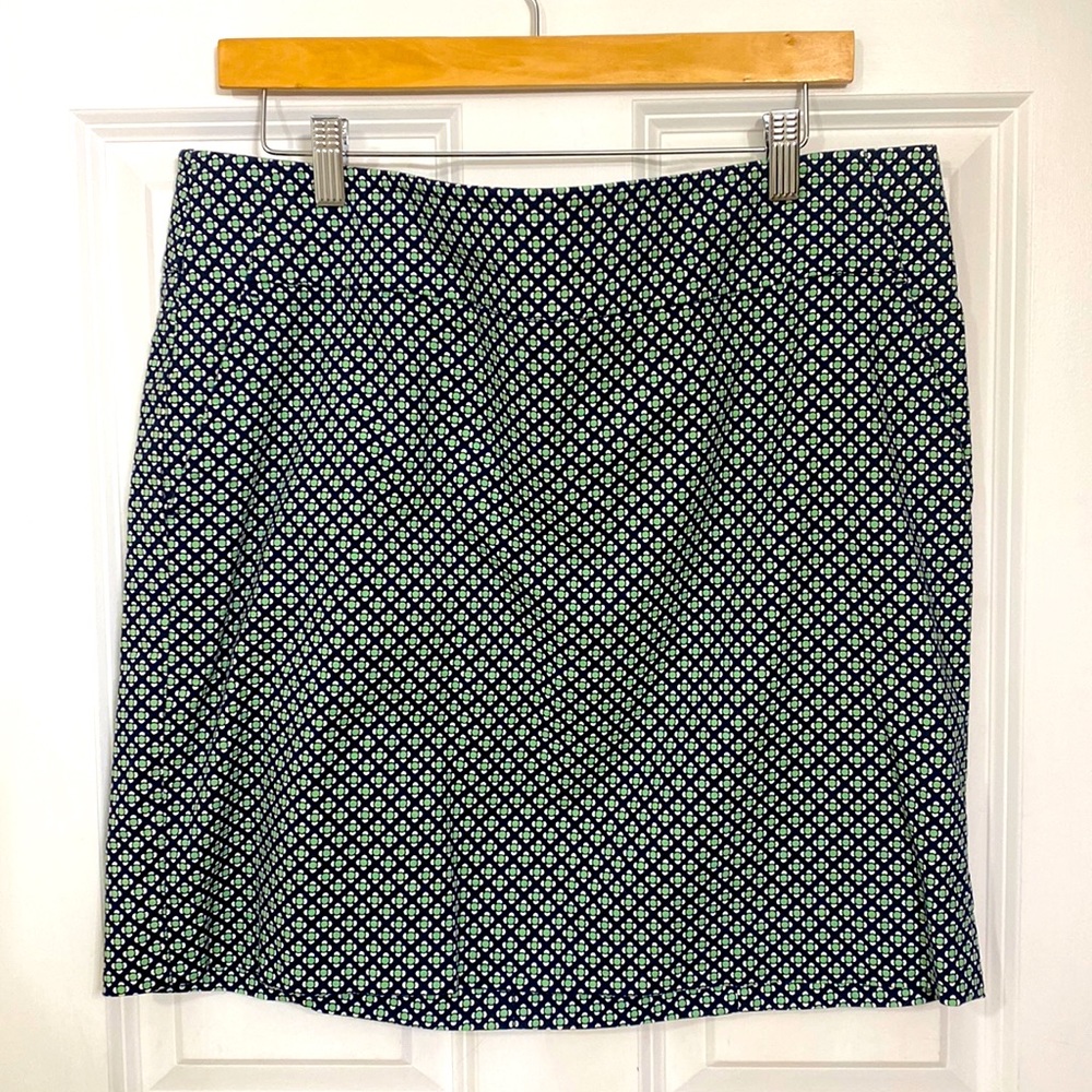 Ann Taylor Skirt